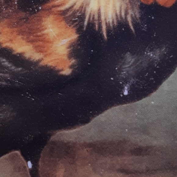 Ca.1990's| Gryphonware rooster| 8.5/10 - Picture 5 of 5